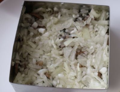 Salat-nejnost-15-LN.jpg 300x400