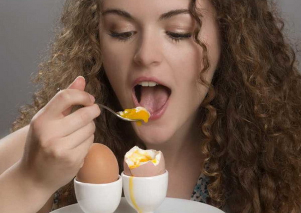 egg+1+LN 600x400