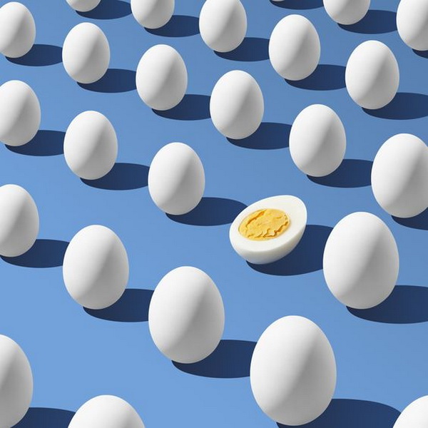 egg-2-LN 600x400