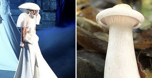 lady-gaga-mashrum-5-LN.jpg 600x400