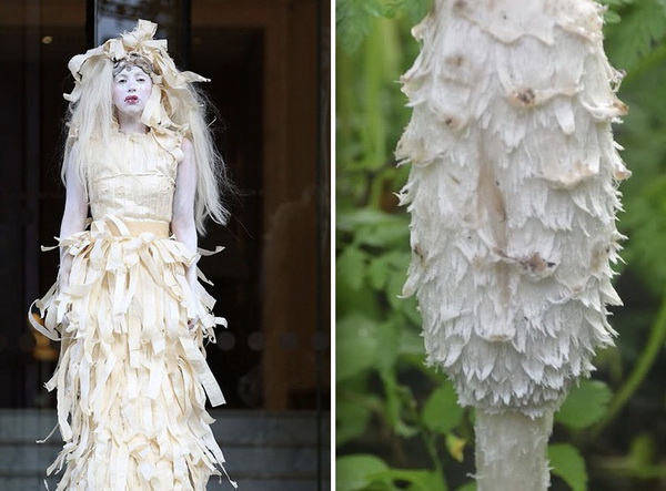 lady-gaga-mashrum-7-LN.jpg 600x400
