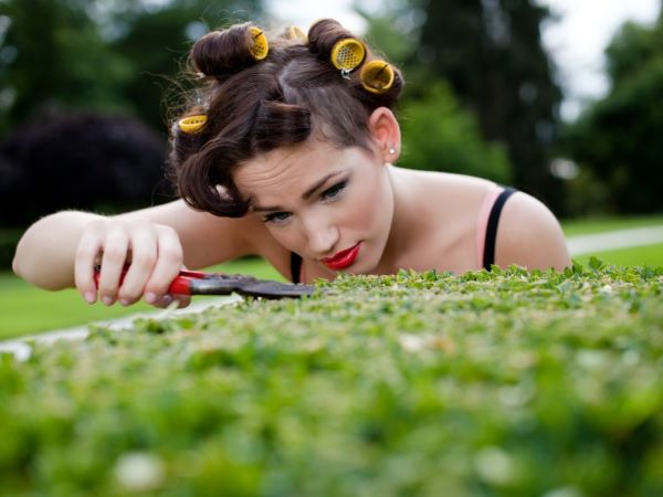 perfect-2-LN 300x400