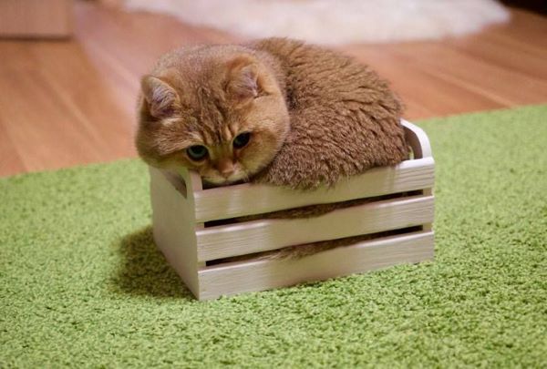 stress-in-offise-2-LN.jpg 300x400