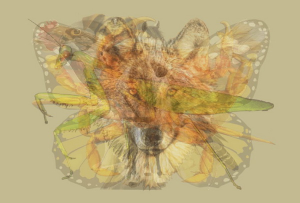 test-foto-0 600x580