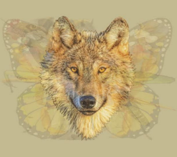 test-foto-5-LN.jpg 600x580