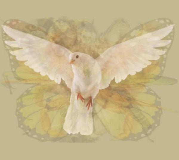 test-foto-9-LN.jpg 600x580