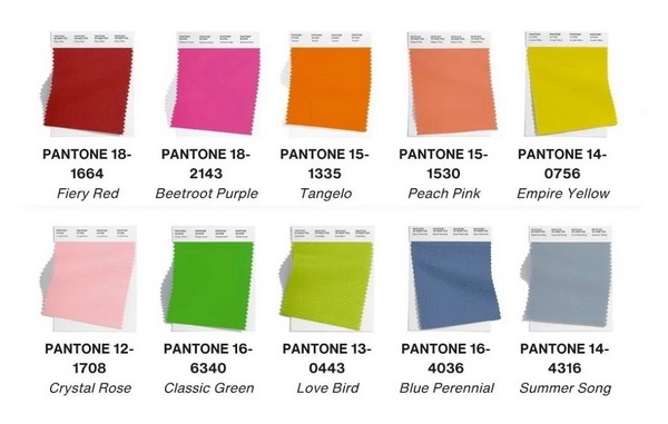 collor-1-2-LN.jpg 600x400